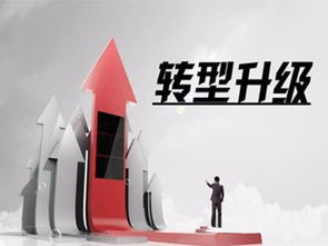 税务师事务所现在的处境什么样 如何成功转型